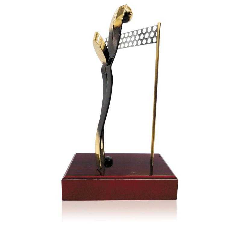 Trofeo soldart voleyball