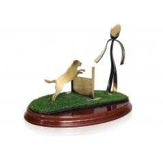 Trofeo soldart agility