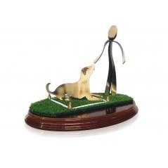 Trofeo soldart agility