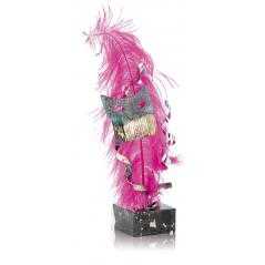 Trofeo soldart carnaval