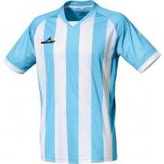 Camiseta champions mercury