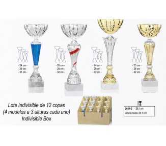Lote 12 copas 2024-2