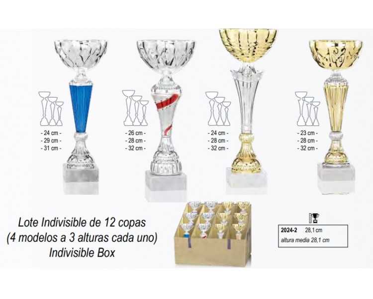 Lote 12 copas 2024-2