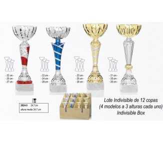 Lote 12 copas 2024-5