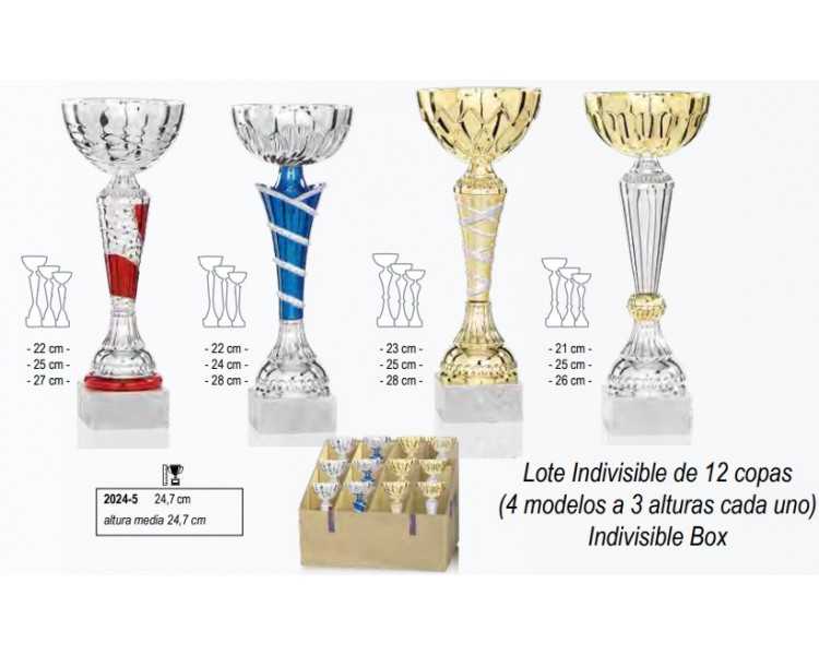 Lote 12 copas 2024-5