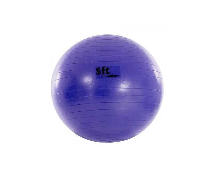 Pelota gigante softee flexi