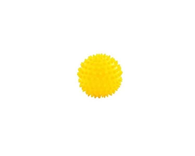 Pelota masaje