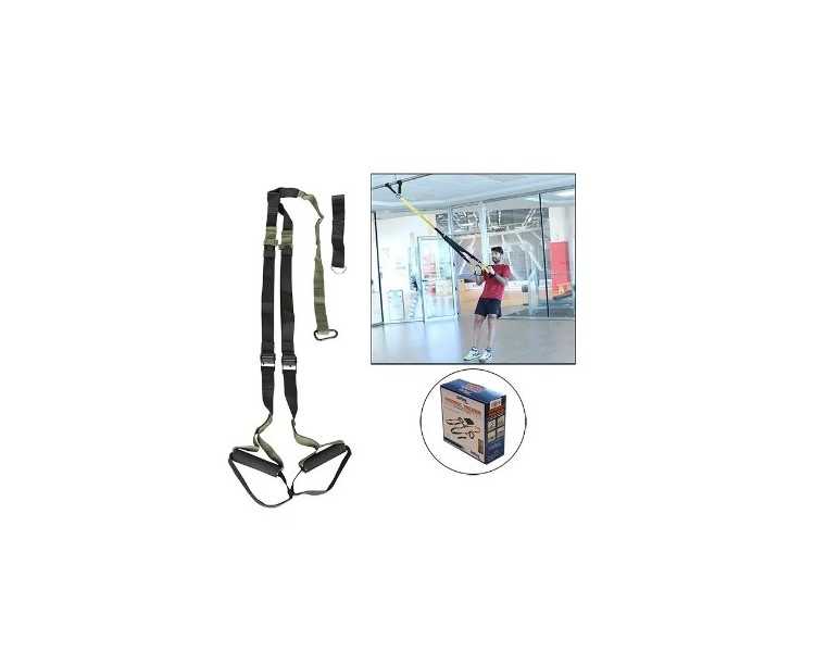 Dynamic trainer softee