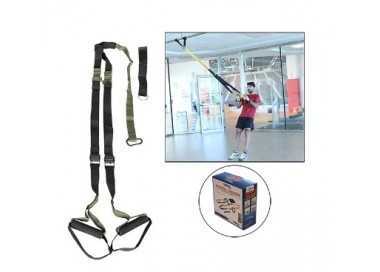 Dynamic trainer softee