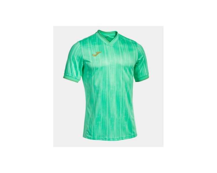 Camiseta gold vi joma