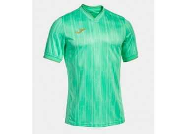 Camiseta gold vi joma