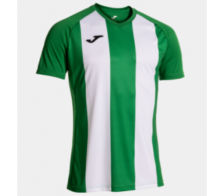 Camiseta inter iv joma
