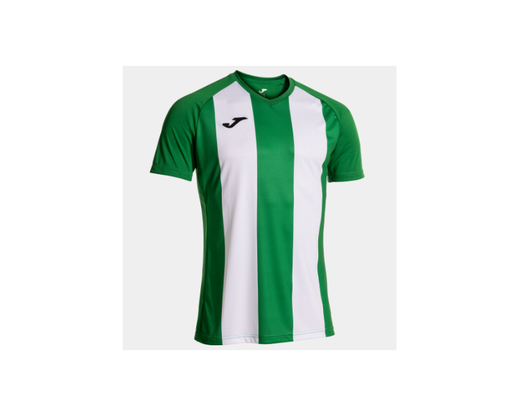 Camiseta inter iv joma