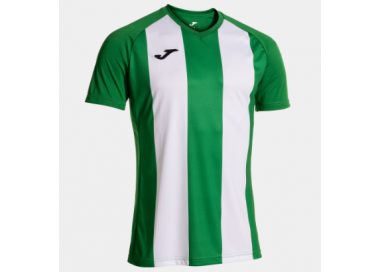 Camiseta inter iv joma