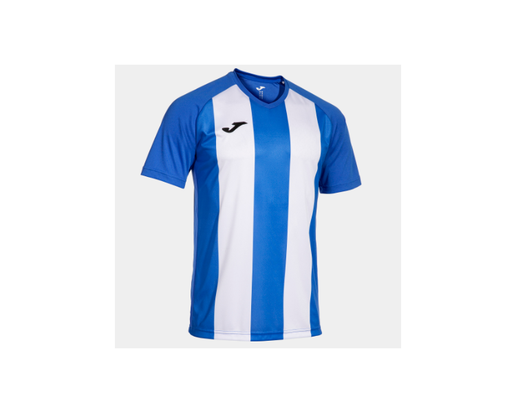 Camiseta inter iv joma