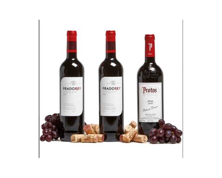 Cesta Navidad lote 39