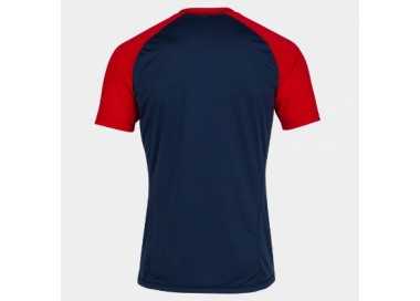 Camiseta team work joma