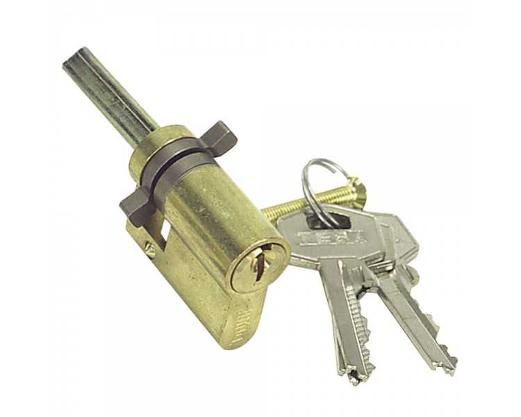 Cilindro Tesa                5520/00/  Latonado