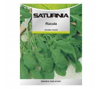 Semillas Rucula (9 gramos) Semillas Verduras, Horticultura, Horticola, Semillas Huerto.