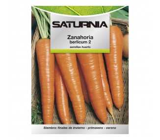 Semillas Huerto Zanahoria Berlicum