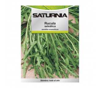 Semillas Aromaticas Rucula Selvatica (2.5 gramos) Horticultura, Horticola, Semillas Huerto.