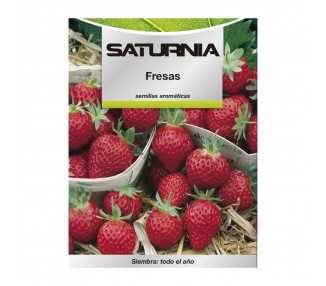 Semillas Huerto Fresas