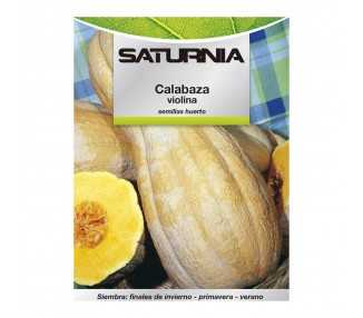 Semillas Huerto Calabaza Violina