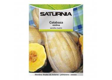 Semillas Huerto Calabaza Violina