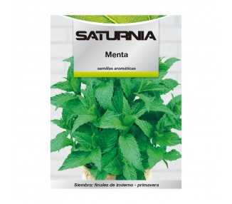 Semillas Aromaticas Menta (0.3 gramos) Horticultura, Horticola, Semillas Huerto.