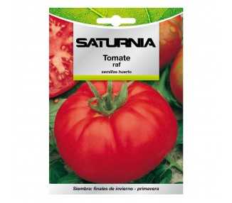 Semillas Tomate Raf (1.5 gramos) Semillas Verduras, Horticultura, Horticola, Semillas Huerto.