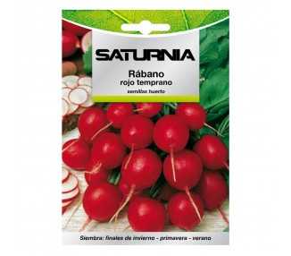 Semillas Rabano Rojo Temprano (8 gramos) Semillas Verduras, Horticultura, Horticola, Semillas Huerto.