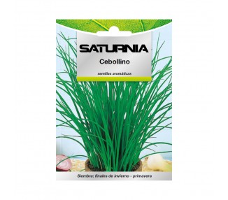 Semillas Aromaticas Cebollino (1 gramo) Horticultura, Horticola, Semillas Huerto.