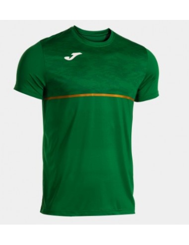 Camiseta record III joma