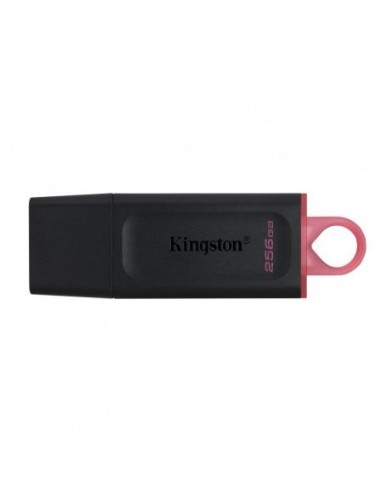 Memoria usb 3.2 kingston 256 gb datatraveler exodia