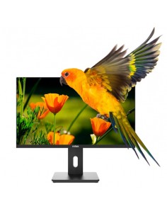 Monitor led 24 pulgadas nilox nxm24reg02 va - hdmi - dp - vga - 75hz - 4ms - vesa 100 x 100 - regulable