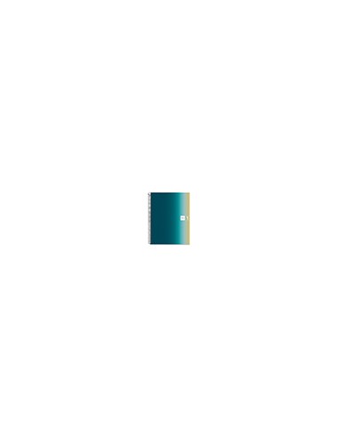 Cuaderno espiral miquelrius din a4 80 hojas 90 gr cuadro 5 mm tapa forrada aurora iceland