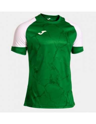 Camiseta hispa V joma