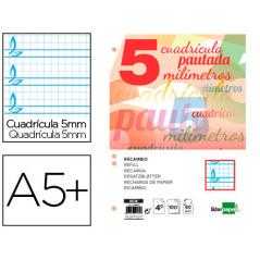 Recambio liderpapel cuarto pautaguia 100 hojas 80 g cuadriculado pautado 5 mm con margen 6 taladros